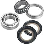 22-1010 Msr Steering Stem Bearing Kit