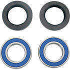 25-1056 Msr Wheel Bearing Kit