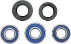 25-1066 Moose Racing Wheel Bearing