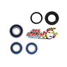 25-1193 All Balls Kawasaki Rear Wheel Bearing Kit