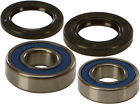 25-1252 All Balls Wheel Bearing