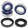 25-1390 All Balls Motorcycle Rear Wheel Bearing Kit 723980422845