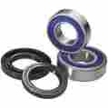 00887337118635 25-1456 Quadboss Wheel Bearing Kit Motorcycle Tires Wheels