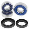 25-1468 All Balls Motorcycle Rear Wheel Bearing Kit 723980422906