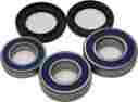 25-1547 All Balls Wheel Bearing And Seal Kit
