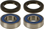 25-1562 All Balls Wheel Bearing