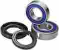 25-1582 All Balls Wheel Bearing And