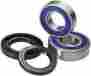 25-1647 All Balls Wheel Bearing And