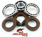 25-2081 All Balls Differential Bearing And Seal Kit