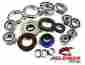 25-2084 All Balls Differential Bearing And Seal Kit