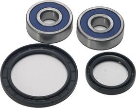 25-1585 All Balls Wheel Bearing And Seal Kits Front