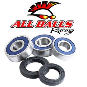 25-1605 All Balls Wheel Bearing And Seal Kit