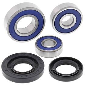 25-1731 All Balls Racing Wheel Bearing Kit For Ktm 390 Duke 15 16 2015 2016