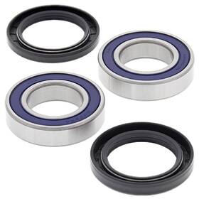 25-1733 All Balls New Racing Wheel Bearing Kit For Odes 800 2 Raider Dominator