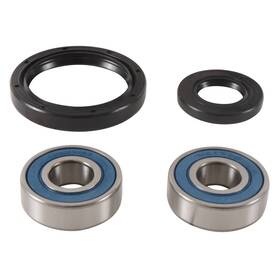 25-1746 All Balls New Front Wheel Bearing Kit For Kawasaki Klx 250 Sf 09-10