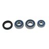 25-1793 All Balls Wheel Bearing And Seal Kit
