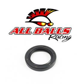 30-5520 All Balls Seal - 37x55x8