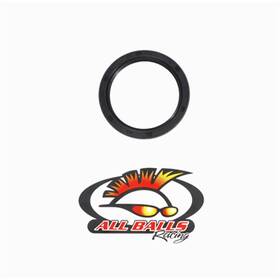30-7004 All Balls Double Lip Seal