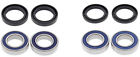 B11ab251273 Ab251081 All Balls Wheel
