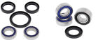 B11ab251283 Ab251080 All Balls Wheel