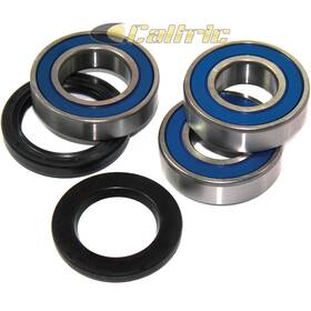 Br108aa2071 Caltric Rear Wheel Ball Bearings Seals Kit For Kawasaki Zx-6r Ninja Zx636 2003-2004