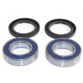 We301125 Epi Performance Wheel Bearing Kit