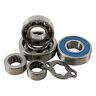 Hr00082 Hot Rods Transmission Bearing Kits For Yamaha Yfs Blaster