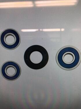 0215-0064 Moose Racing 25-1422 Rear Wheel Bearing Kit