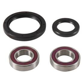 25-1753-p Pivot Works Wheel Bearing And Seal Kit Front #25-1753-p Fits Suzuki Drz400