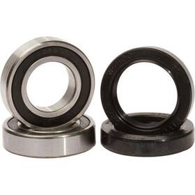 Pivot Works Pwrws-h16-000 Rear Wheel And Seal Kit For Honda Street Bike