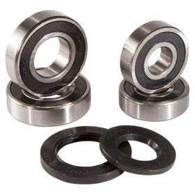 Stwh-pi179598-98 Pivot Works 2006-2010 Kawasaki Vulcan 2000 Classic Lt Wheel Bearings Rear