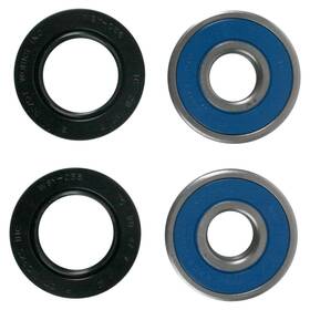 Stwh-pi180658-58 Pivot Works 2000-2009 Yamaha Xvs 1100 V Star Custom Wheel Bearings Front