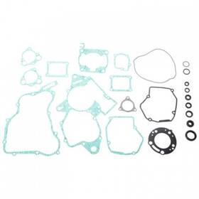 34.1220 Pro X Complete Gasket Set