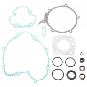 34.4100 Pro X Complete Gasket Set