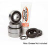 Pwfwk-y51-000 Pivot Works Yamaha Wheel Bearing Kit