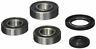 Pwrwk-k20-000 Pivot Works Wheel Bearing Kit Fits Kawasaki Klx 639853613862