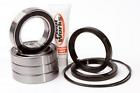 Pwrwk-s25-400 Pivot Works Wheel Bearing And