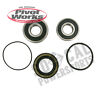 Stwh-pi178972-72 Pivot Works Honda Gl Motorcycle Wheel Bearings Rear