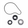 Tsk0016 Tusk Water Pump Repair Kit