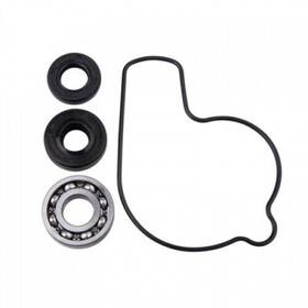 Tsk0001 Tusk Water Pump Repair Kit