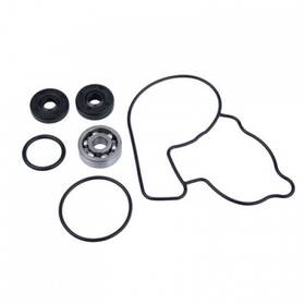 Tsk0036 Tusk Water Pump Repair Kit