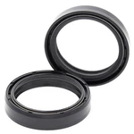Balls Fork Oil Seals Yamaha XV1600A Road Star 1999-2007. Fixed Price $26.33.