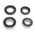 Wheel Bearing Kit 380541 EPIWE301110. Fixed Price $19.79.