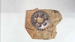 Nos Yamaha 256-17231-00-00 3RD 4TH Wheel Gear XS1 XS2 XS650 TX650 Fast Ship. Fixed Price $21.89.