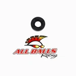 Balls Racing Inc. Double Lip Seal Part No. 30-3101 For Enhanced. Fixed Price $9999.95.
