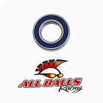 Balls Bearing Double Lip Seals 6006-2RLD. Fixed Price $14.25.