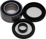 Balls 25-1004 Wheel Bearing And Seal Kit. Fixed Price $58.59.