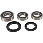 Pivot Works Wheel Bearing Kit PWRWS-Y06-000 For Yamaha TDM900 (euro) 02-06. Fixed Price $48.38.