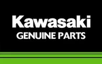 Genuine Kawasaki Oil SEAL,#50659 To Fit: KDX200 Part Number: 654A506509. Fixed Price $16.16.