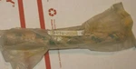1985 SP-250 Suzuki New Front Wheel Axle Spindle P/no. 54711-48700 Genuine Nos. Fixed Price $27.09.